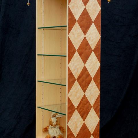 Harlequin Bookcase 