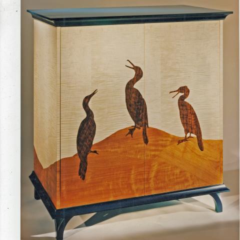 Laughing Cormorants