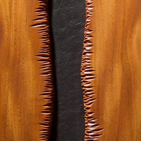 Cascade door